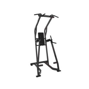 Chin/Dip/Leg Raise