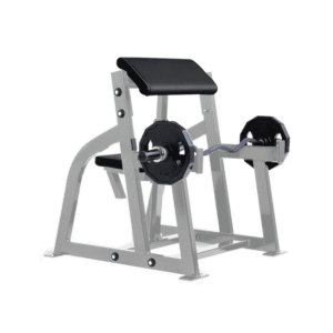 Seated Arm Curl