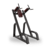 TUFF Fit MFP Elite VKR Dip Station