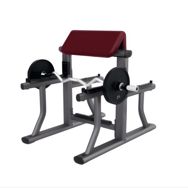 DOMINATOR Arm Curl Bench