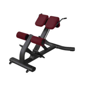DOMINATOR Back Extension Bench