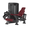 DOMINATOR Leg Extension