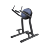 DOMINATOR Vertical Knee Raise & Dip Station
