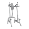 FORGE Strength VKR Dip Station