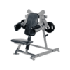 Plate Loaded Lateral Raise